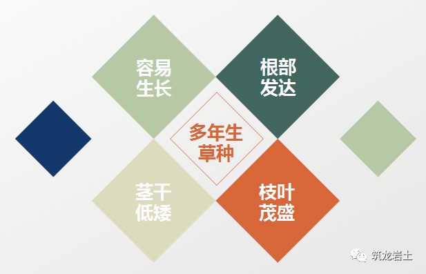 常见边坡坡面防护设计,你真的搞懂了吗?的图7